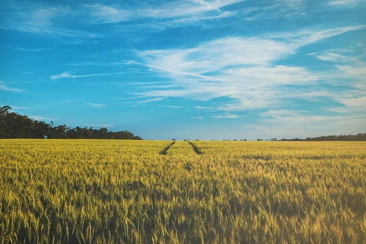 In Tula approved new boundaries of land in the area of Myasnovo