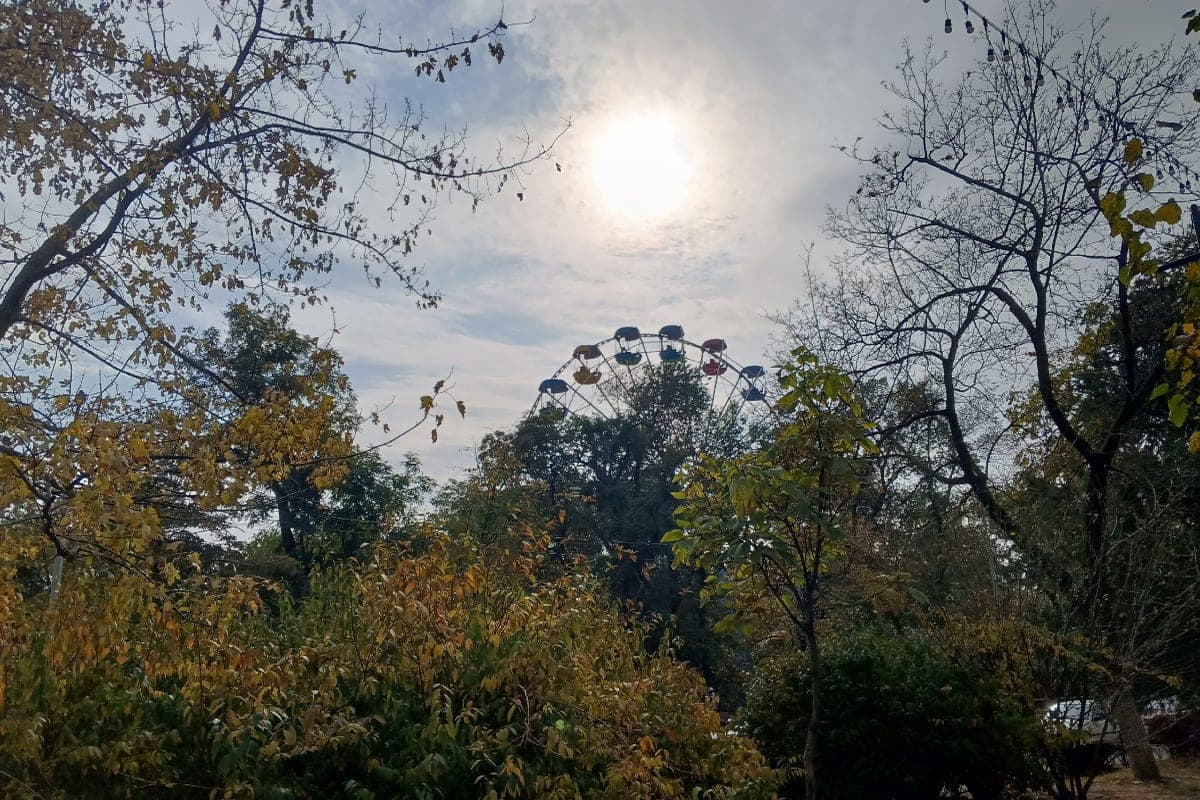 In the Rostov region before the working week forecast wind up to 18 m / s