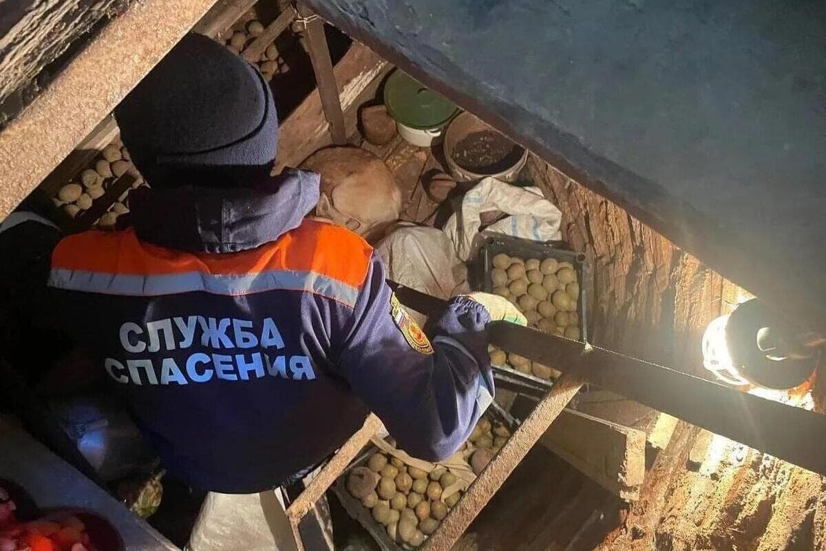 В Чувашии спасатели достали из погреба собаку