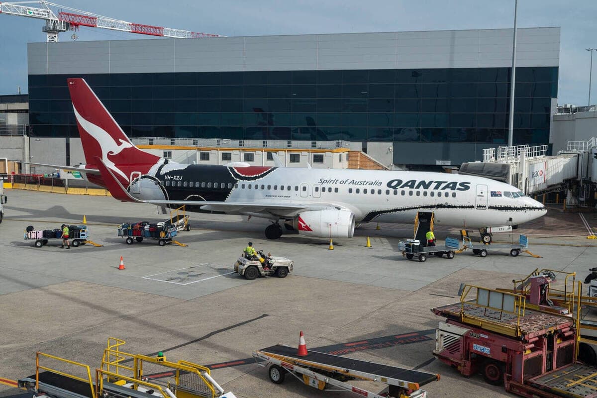 Invasion of bedbugs on board forced to take off flights in the European capital