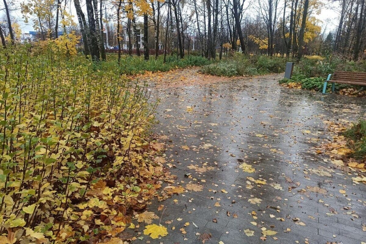 Temperature mode 15 in Ivanovo will remind the summer