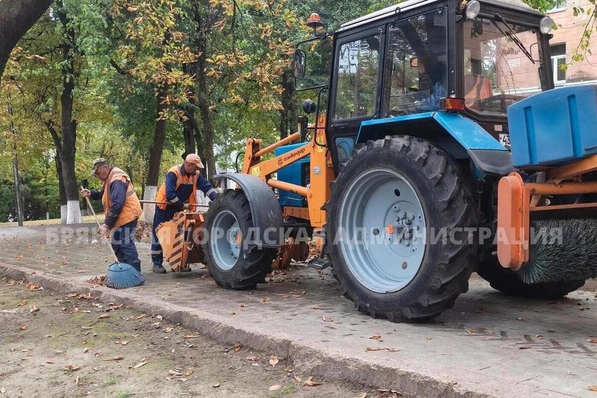 In Bryansk continue to remove fallen foliage and build container sites