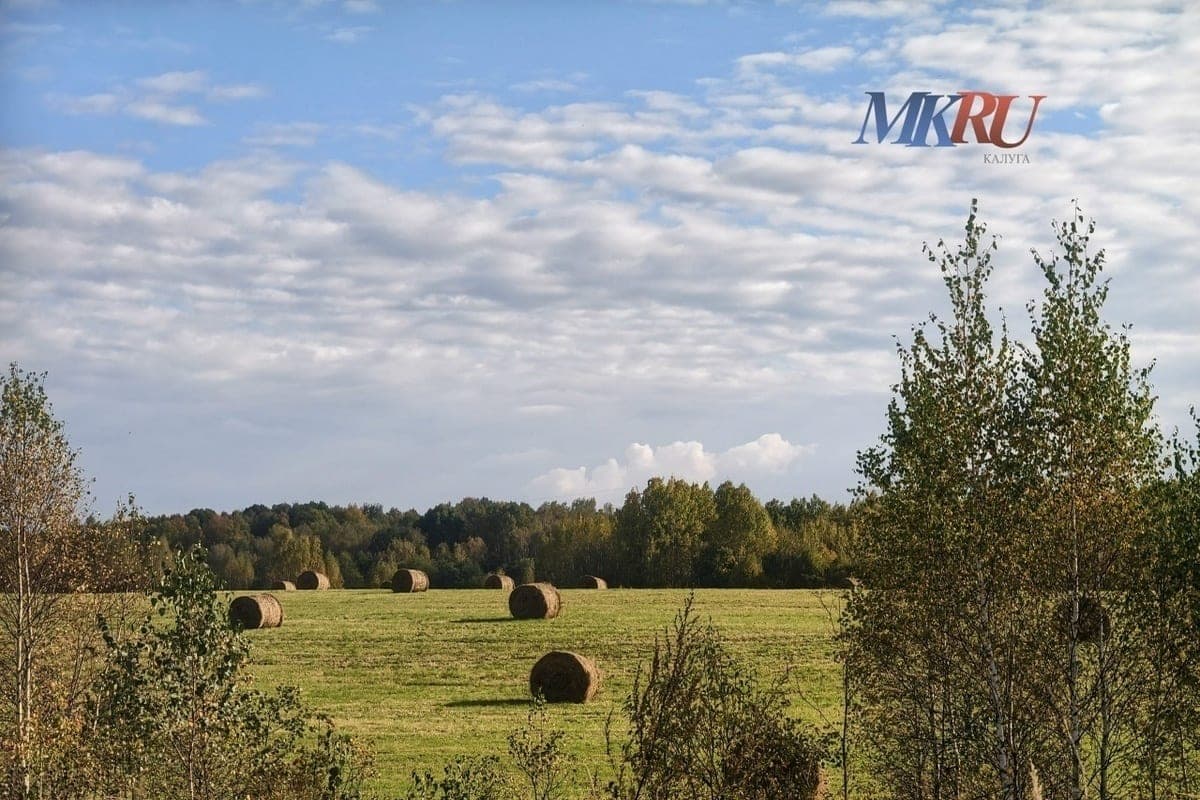 In the Kaluga region, agricultural workers are honored