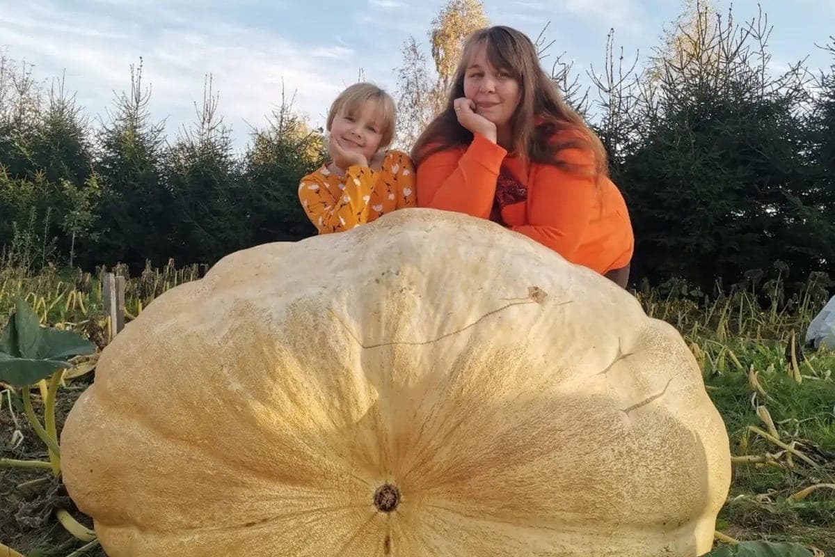 Residents of the Pskov region set records of Russia at the competition “AgroGIANTS”
