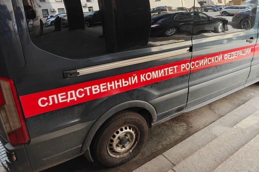 The head of the UK was interested in the story of the fallen on a woman roof in the Leningrad region