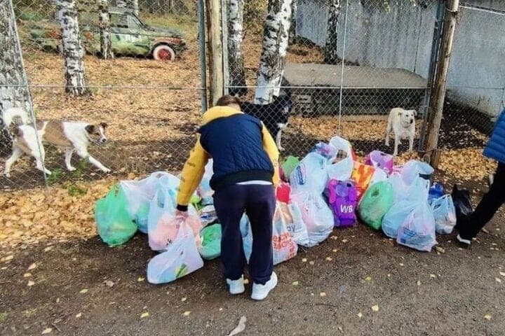 Schoolchildren gathered help for the shelter of homeless animals in Kirov