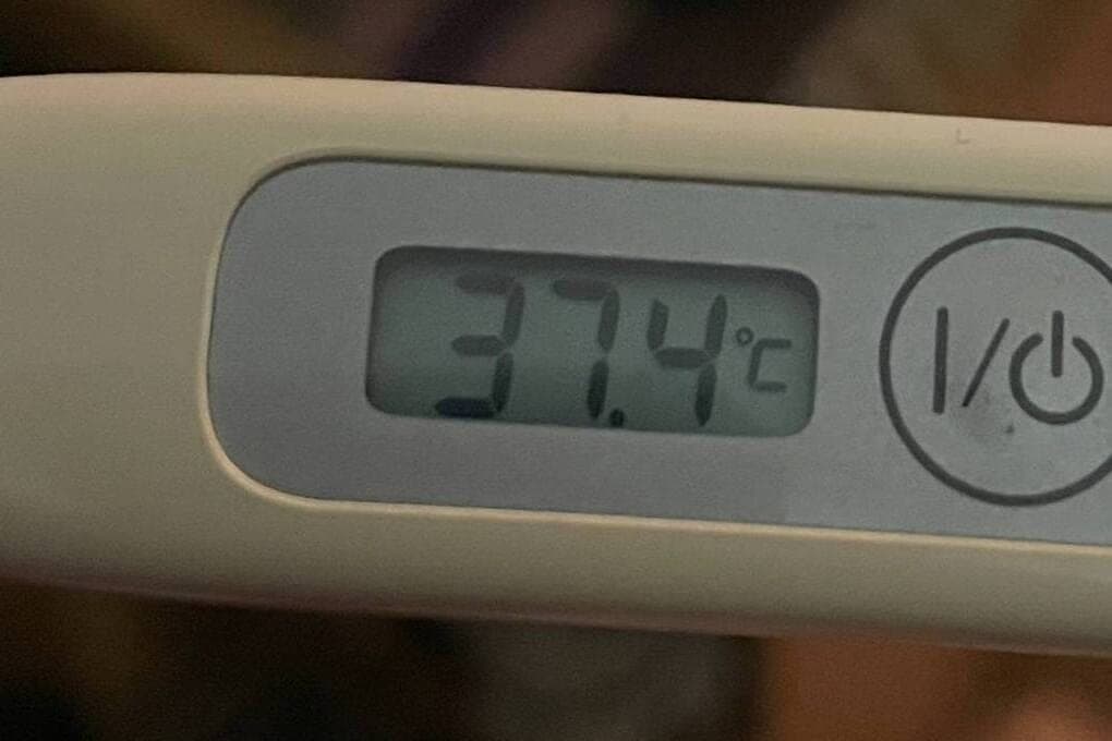 Warum Sie die Temperatur nicht sofort senken können: Rospotrebnadzor zerstreute 12 Hauptmythen über die Behandlung von Grippe
