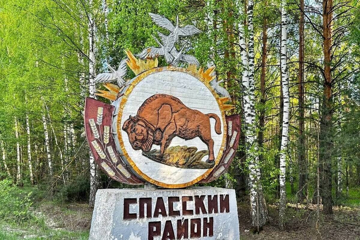 В полях под Рязанью нашли свалку из сотен килограммов кожи