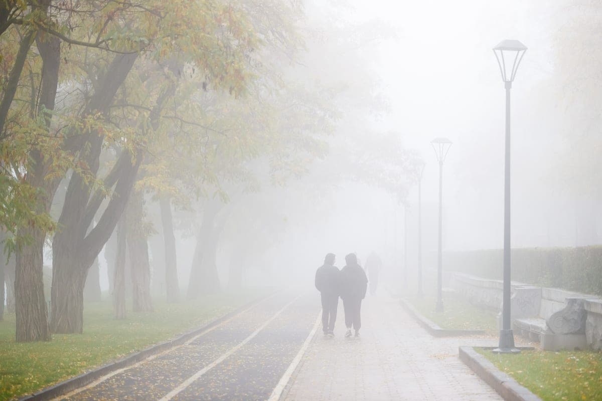 Volgograd drivers told how to properly drive in the fog