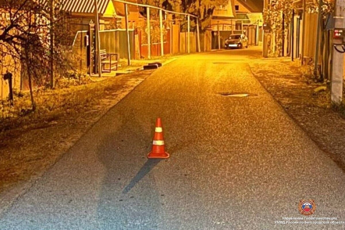 В Белгородской области пожилой велосипедист упал после столкновения с животным