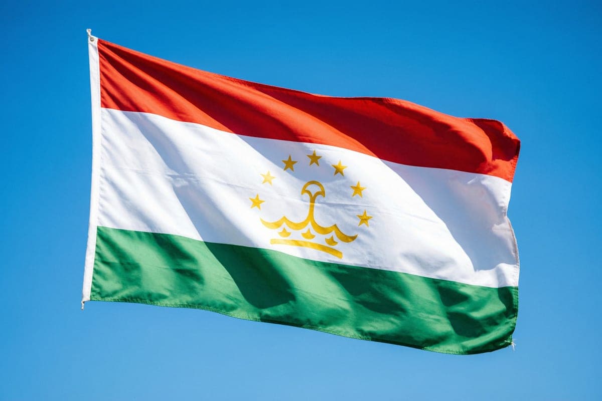 Tajikistan organizes return of seven children from Russia