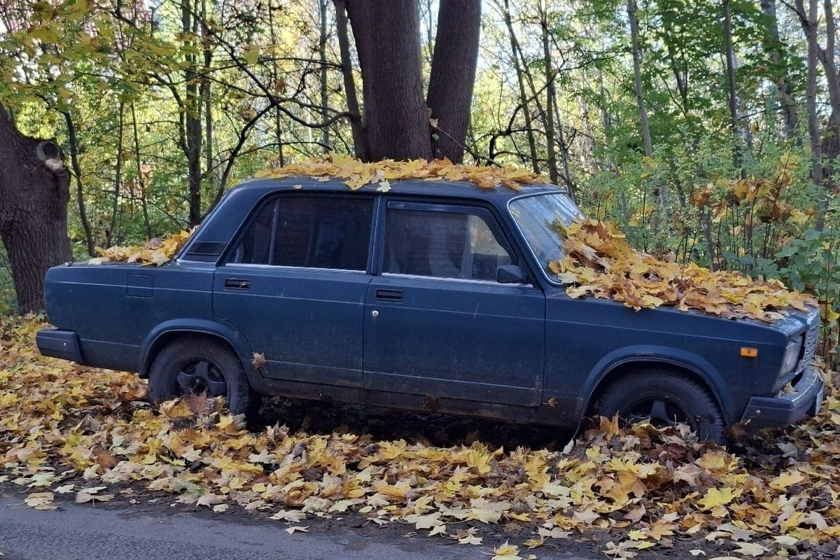 Дождь и туман ожидают псковичей в это воскресень