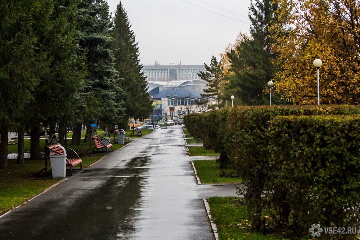 On the site of the illegally functioning market in Kemerovo will be equipped with a recreation zone and