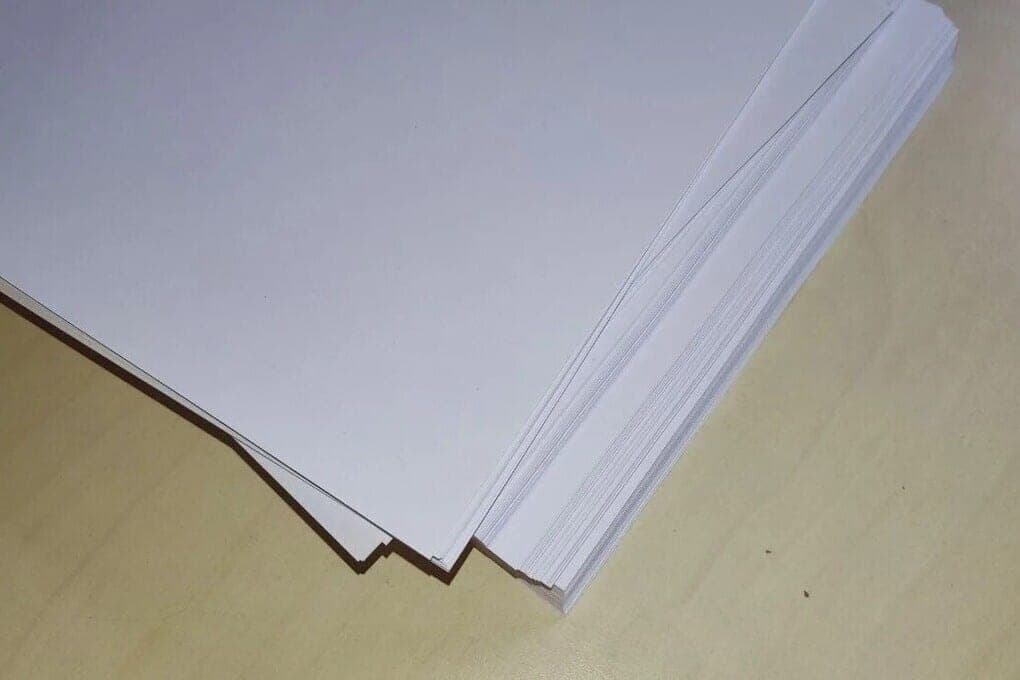 Одиноким петербуржцам советуют оформлять завещание или наследственный договор