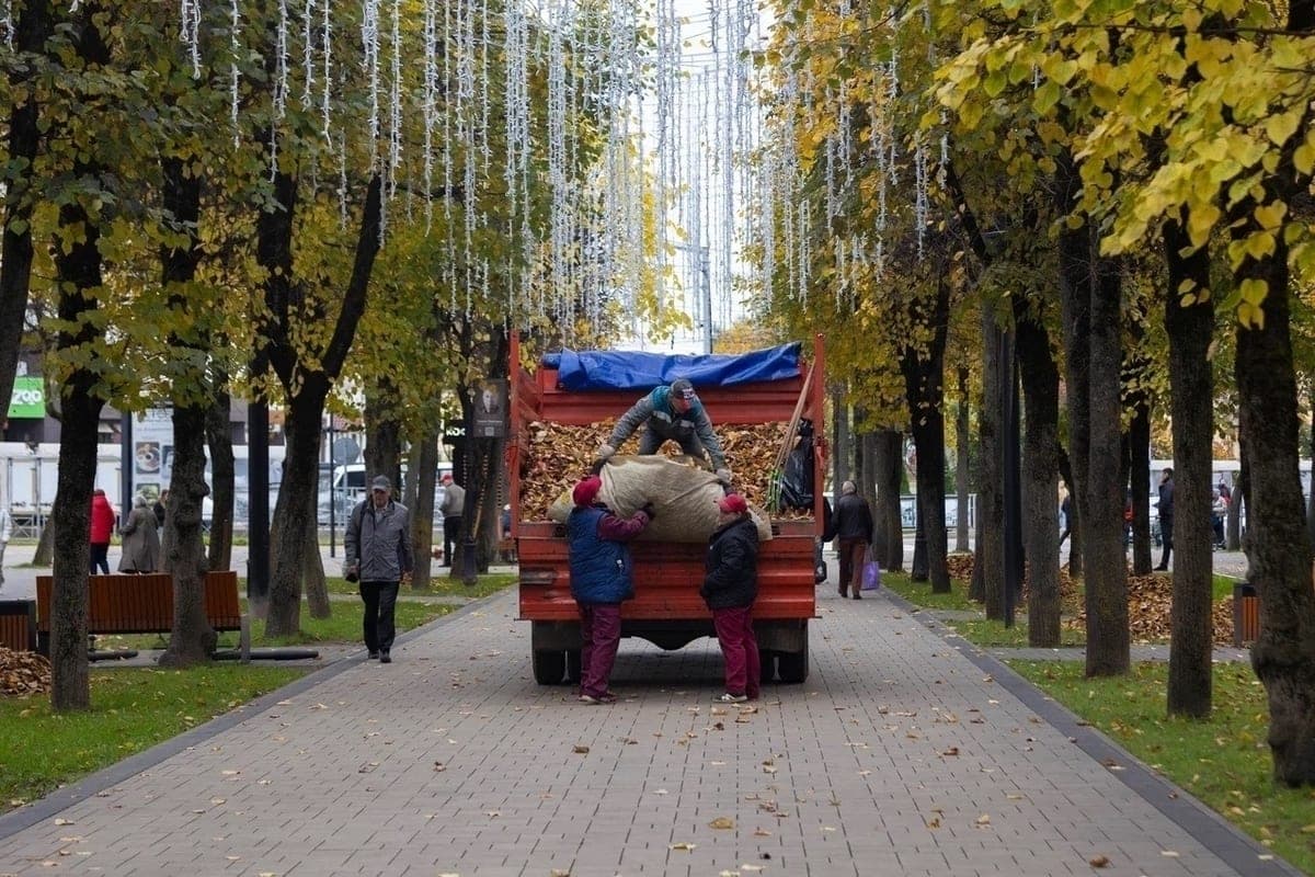 Alexander Novikov spoke about the large-scale autumn cleaning in Smolensk