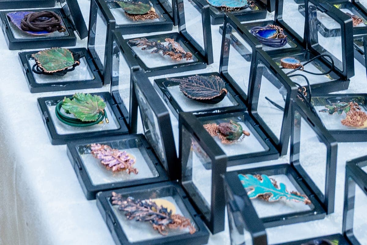 Photo project on science in Sochi reached the final of the award “Crystal Compass”