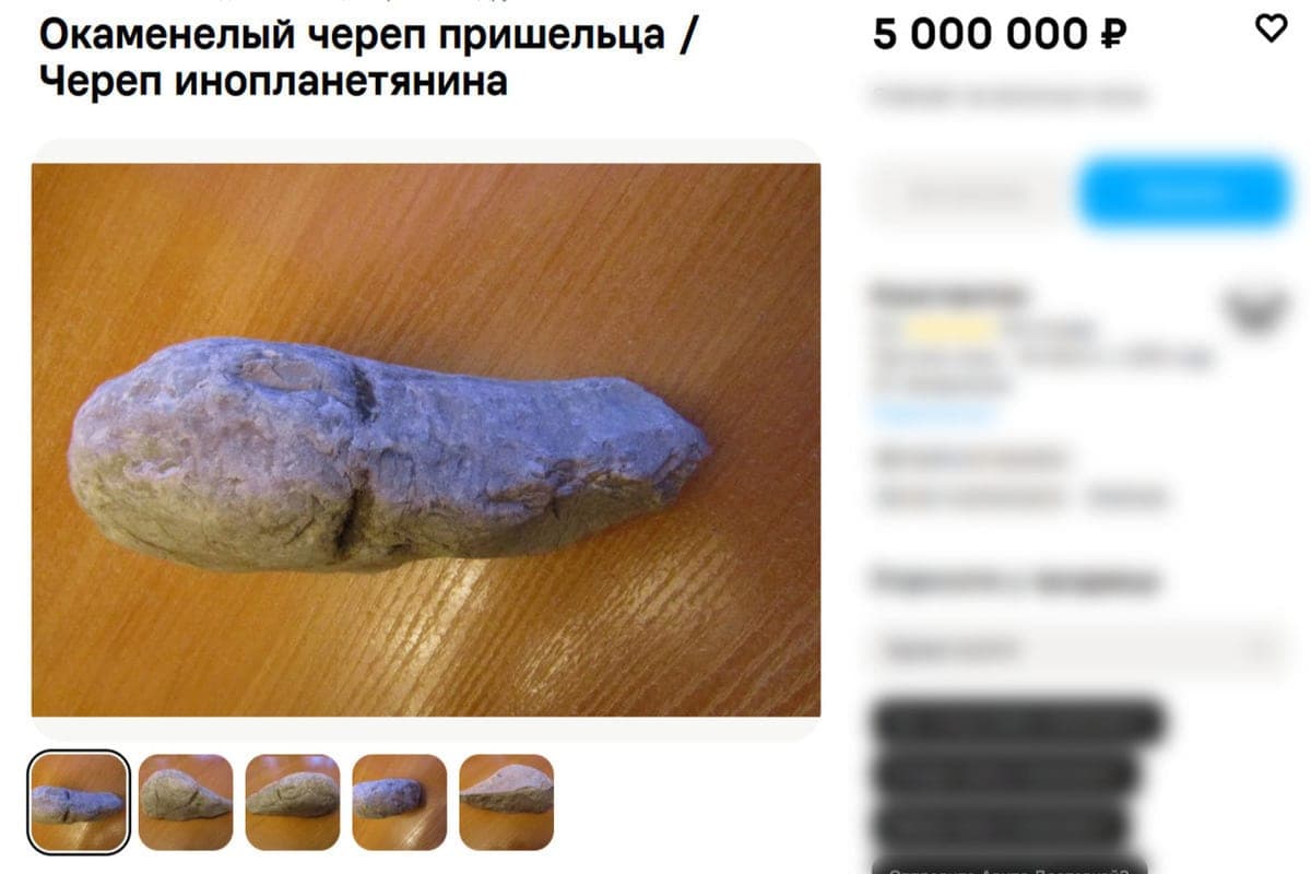 In St. Petersburg sell the fossilized skull of the “alien” for 5 million rubles