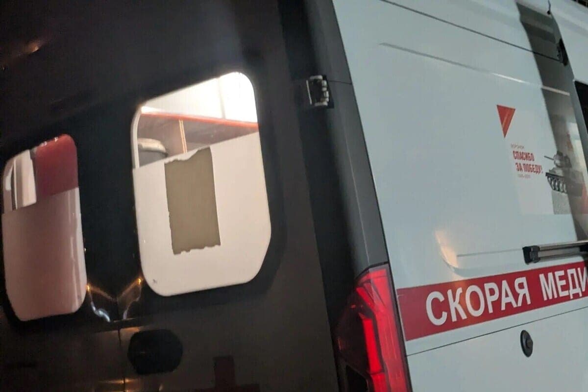 In Voronezh opened a criminal case after hitting a child on a zebra