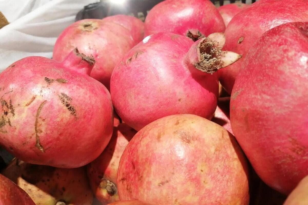 Rospotrebnadzor riet den Einwohnern von Nowgorod, die gewichtigsten Früchte des Granatapfels zu wählen