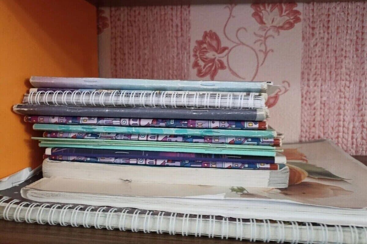School No. 161 in Pargolovo could leave a sixth grader without textbooks