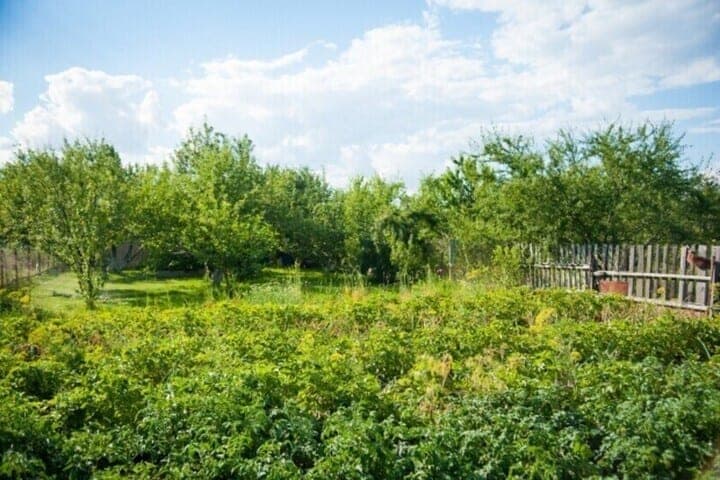 В Астраханской области землевладелец захламил участок строительным мусором
