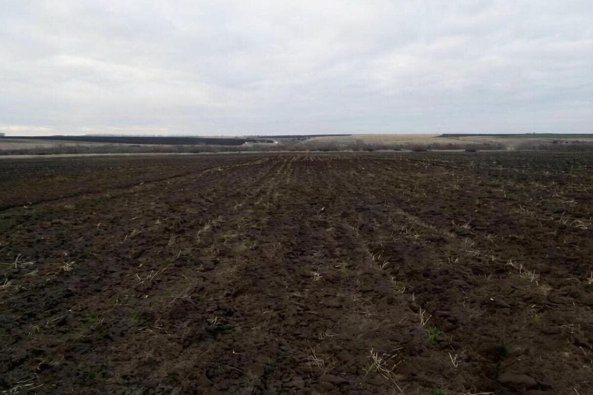 Археолог получил открытый лист на разведку в четырёх районах Пензенской области