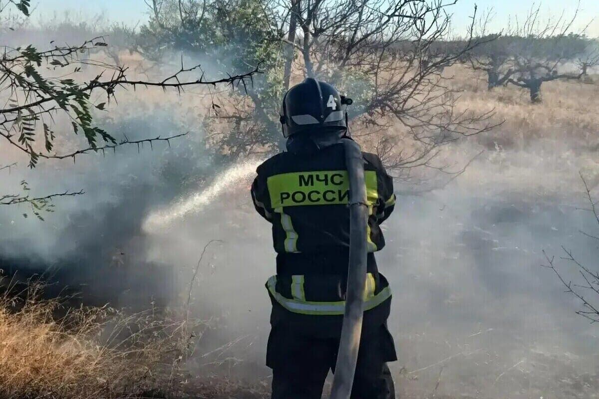 Три пожара потушили спасатели в Запорожской области за сутки