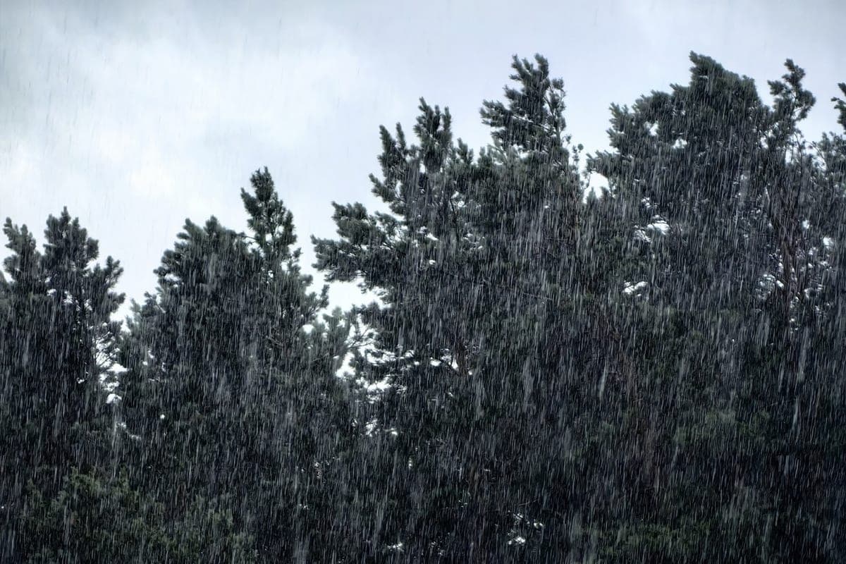 Subzero temperature and snowfall will come to Khakassia