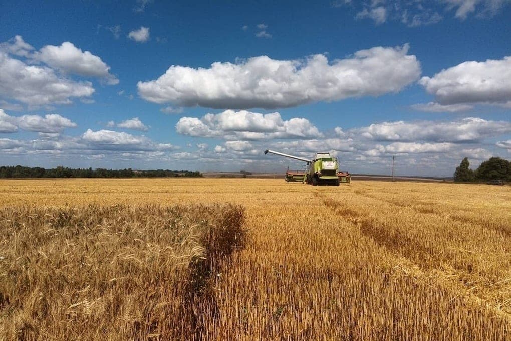 Ilya Bespalov called the work of Tula farmers important for the whole country