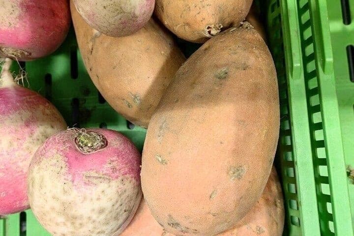 Serpukhov summer residents explained the rules of winter storage of vegetables