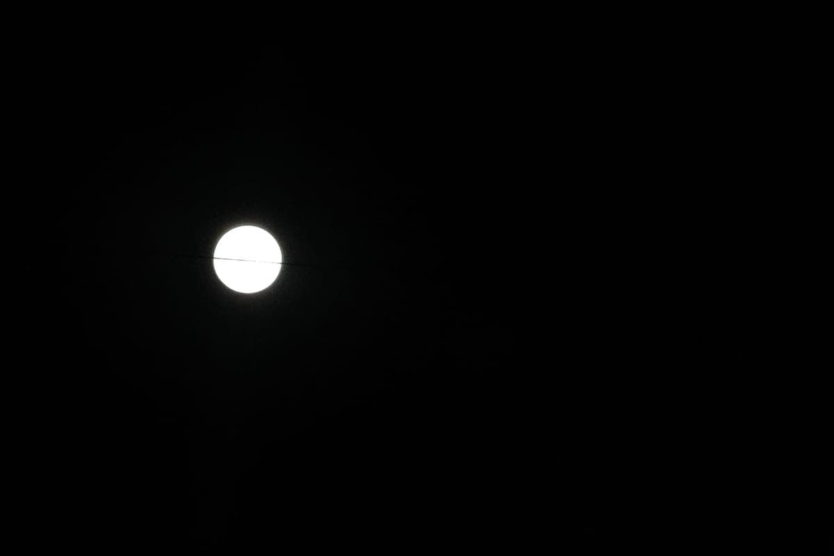 Over Rostov on October 26 rose “Hunting Moon”