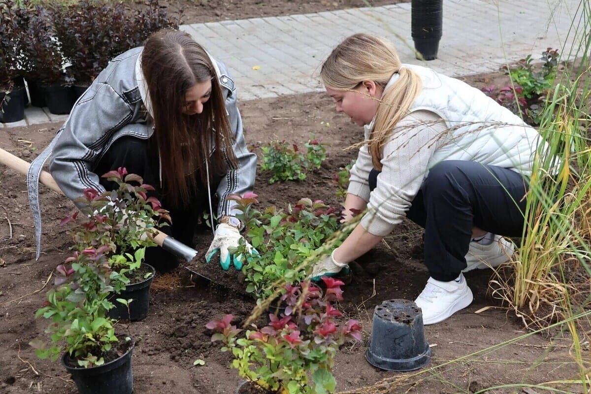 Supper and thunder: in the park on Griboyedov Street in Ryazan, landscaping was carried out