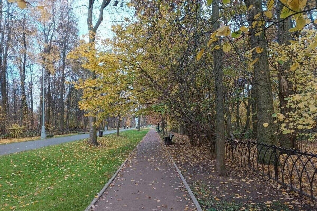 Weather in the Novosibirsk region on October 23. What to expect