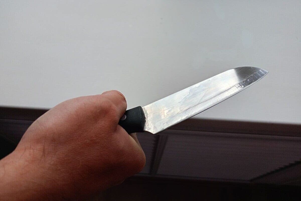A resident of the Kamensky district hit a drinker with a knife handle