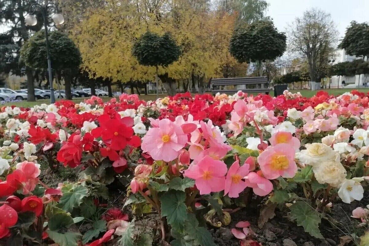 Last night was the warmest in the suburbs for 45 years