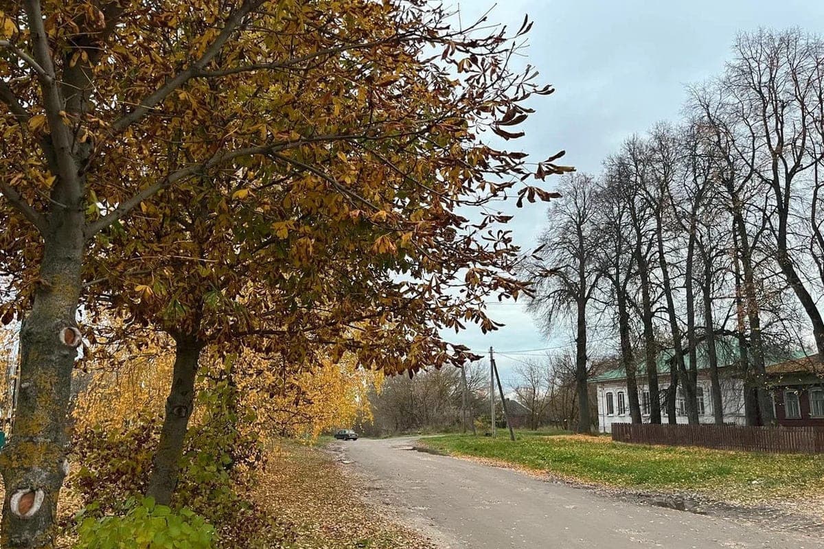 Ryazan told about the weather on October 24