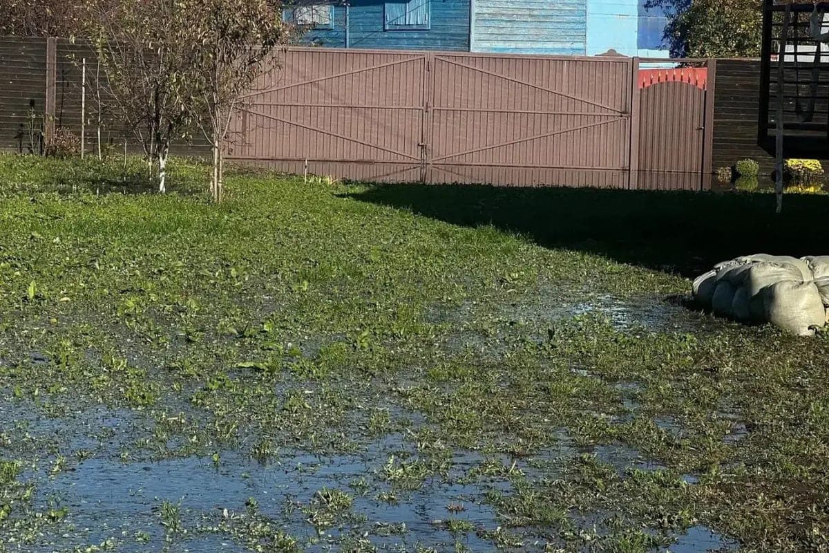 В тамбовском СНТ «Энергетик-2» выясняют последствия коммунальной аварии