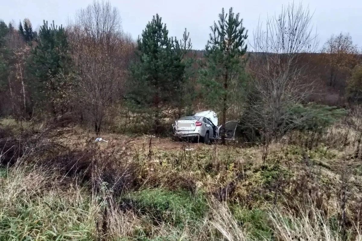 The driver of the car died in the Totem district