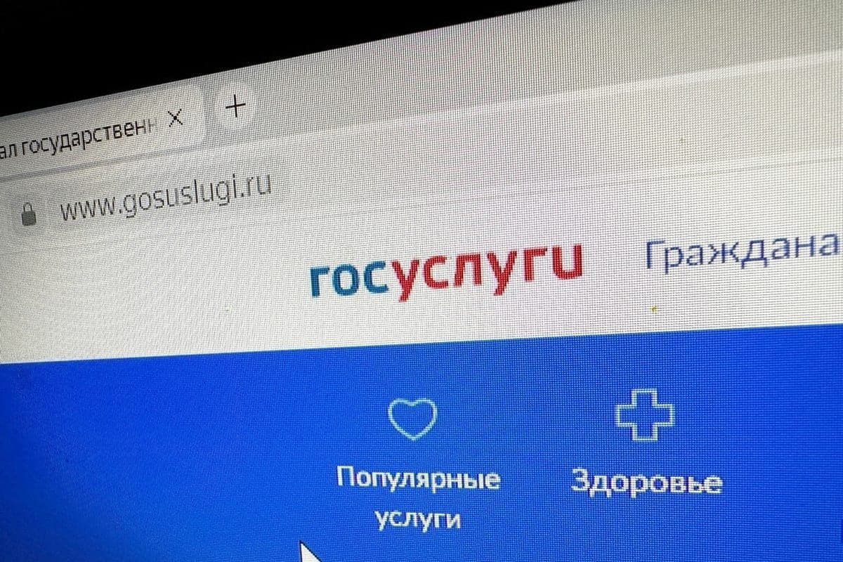 Kalujans will be able to get a certificate about weapons online