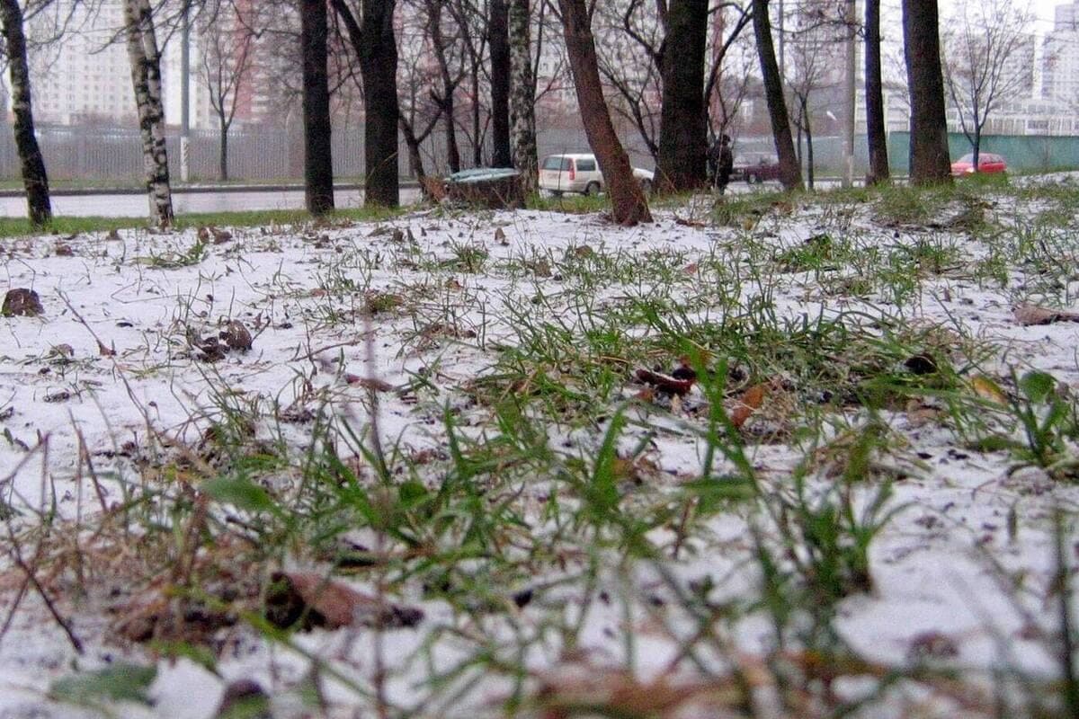 Эксперт рассказал, как разные народы готовятся к холодам
