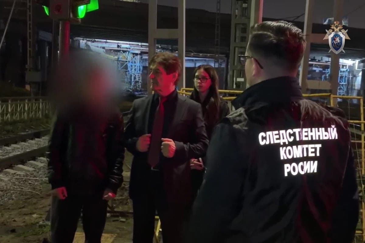 Задержан хулиган, травмировавший пассажирку электрички камнем