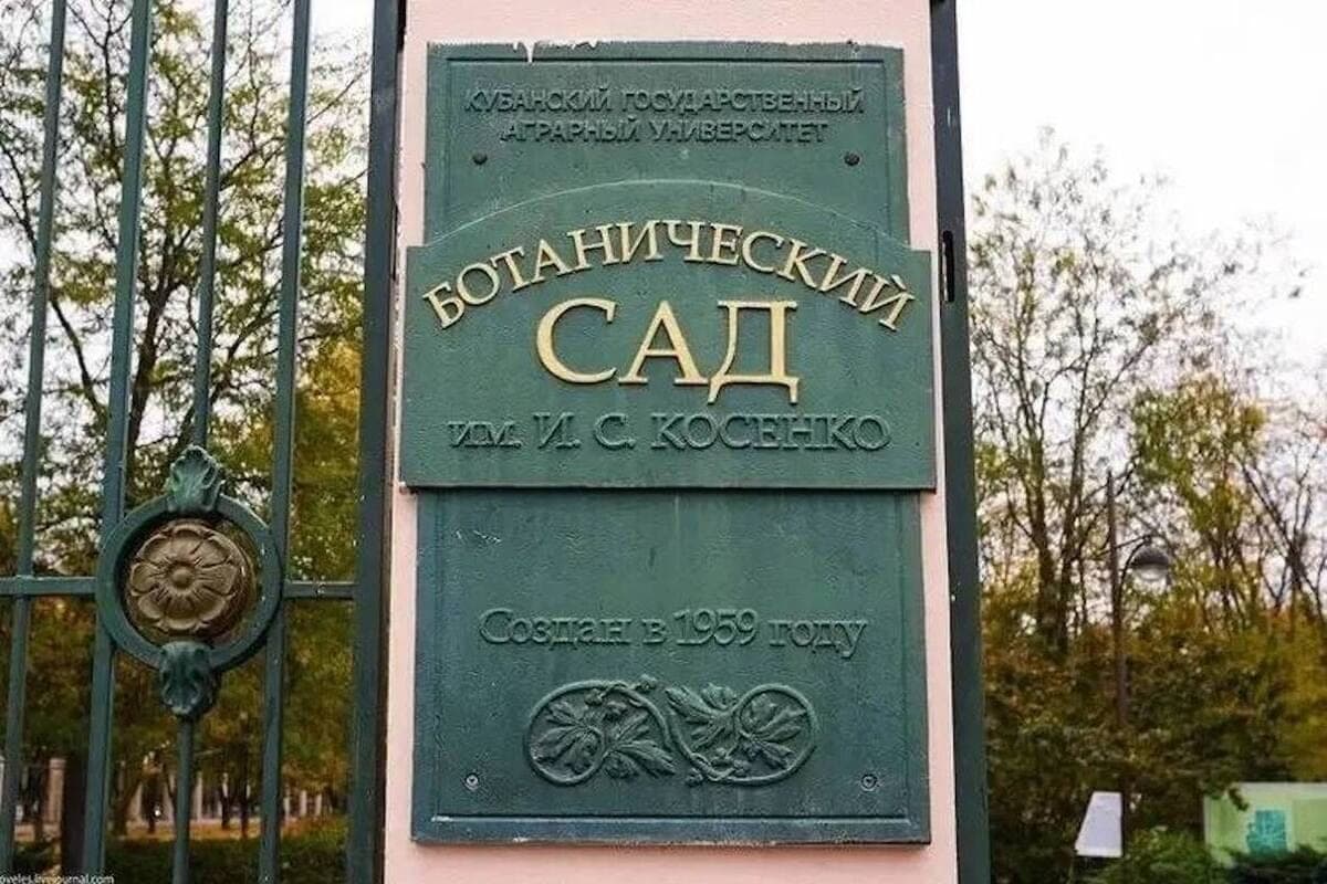 Ботанический сад имени Косенко в Краснодаре временно закрылся для посетителей