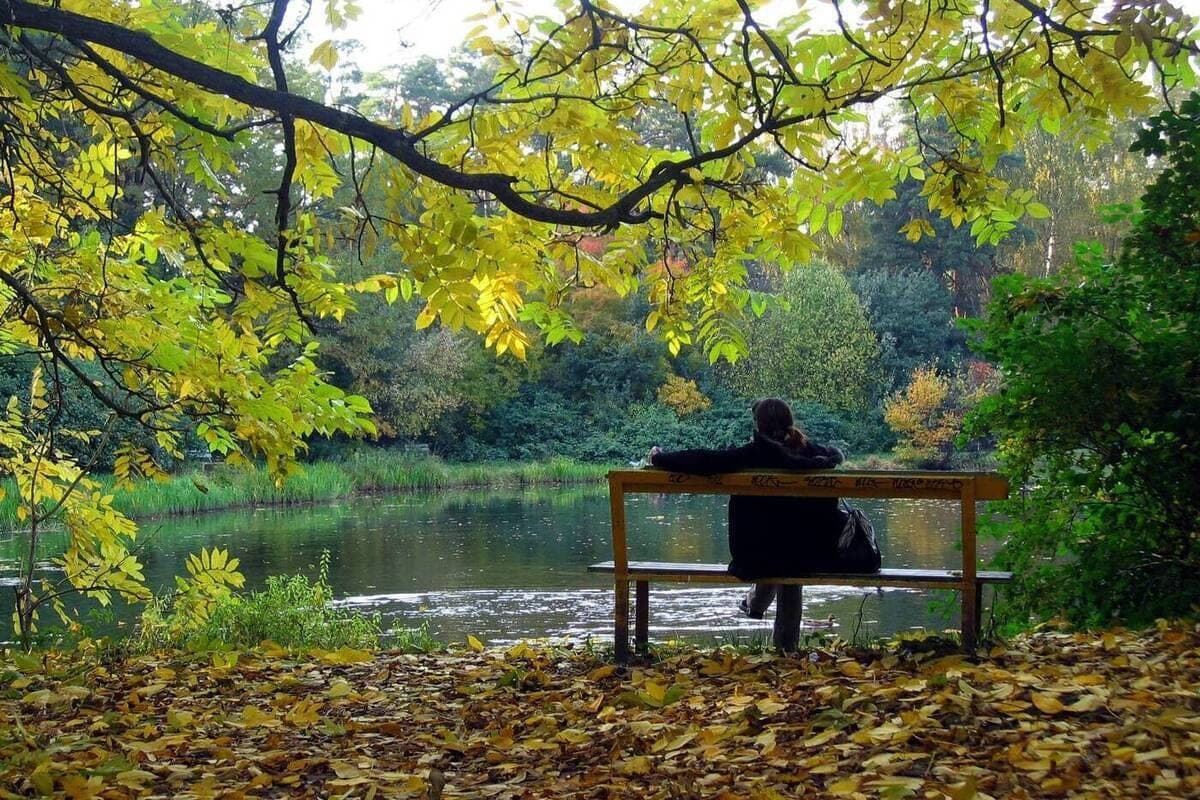 Muscovites told whether it will rain this week