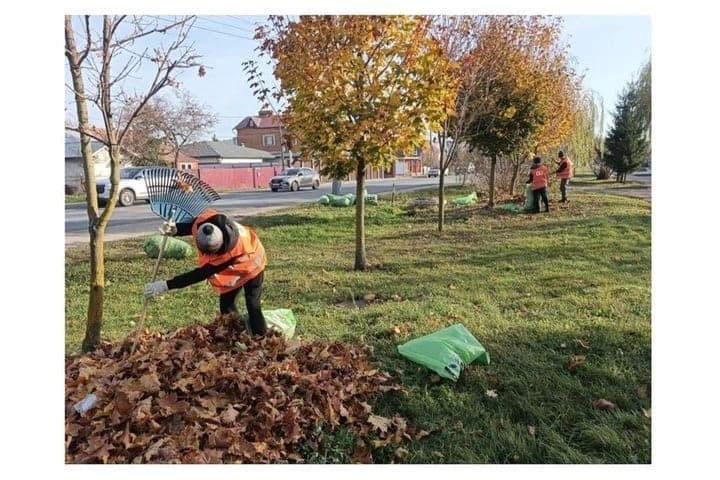 Only on Friday from the streets of Tula removed 50 cubic meters of fallen leaves
