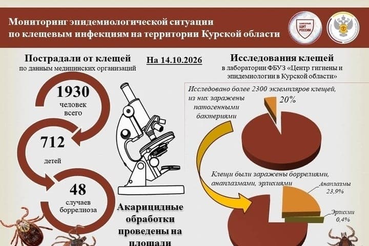 In the Kursk region from tick bites suffered almost 2 thousand people