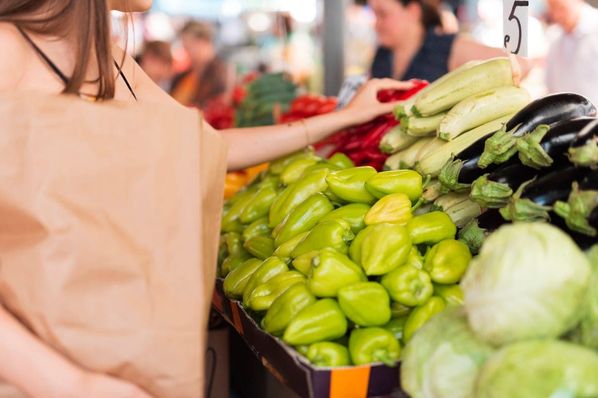Vladimir citizens can reduce New Year's spending,