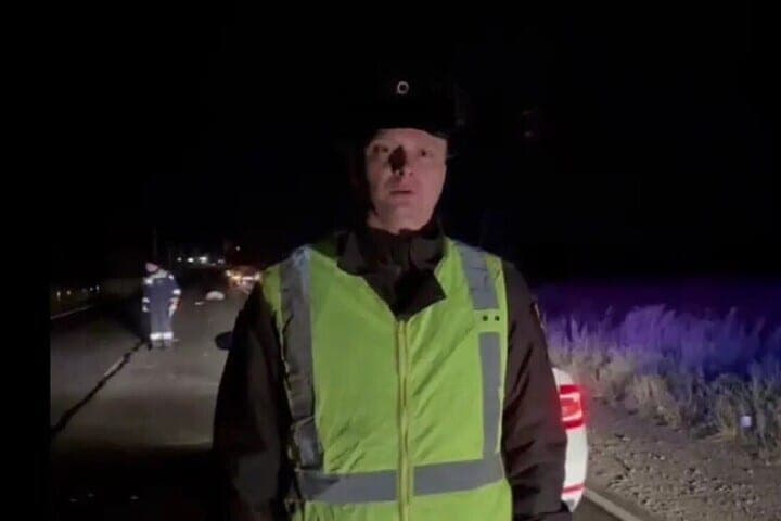Peterburger suddenly ran into the road in front of the car and died on the highway