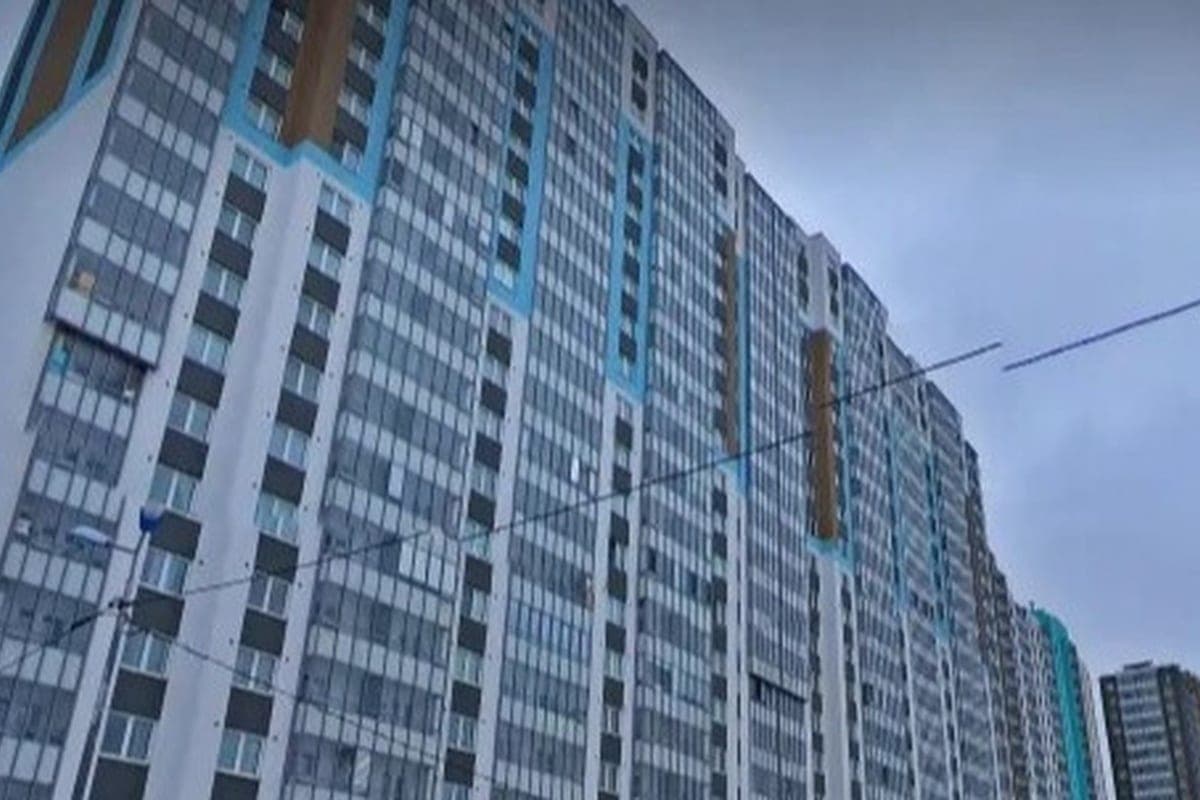 Insects began to force out of the apartments of residents of the house on Charushinskaya