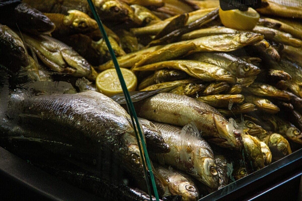 Cómo reemplazar las carreteras suplementos dietéticos: nombre dos peces de presupuesto con un máximo de omega-3
