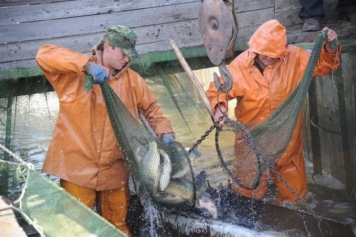 Since the beginning of autumn Putin in the Astrakhan region employed 450 people